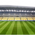 FC Karpaty Lviv (UA)
